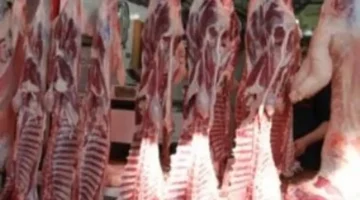 أسعار اللحوم في كفر الشيخ الأربعاء 10 سبتمبر 2025 بماذا تُسعر الكيلو؟